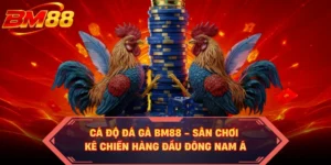 Cá Độ Đá Gà BM88 - Sân Chơi Kê Chiến Hàng Đầu Đông Nam Á